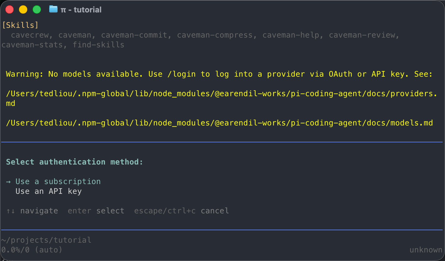 Pi 登入流程選擇 Use a subscription 訂閱登入