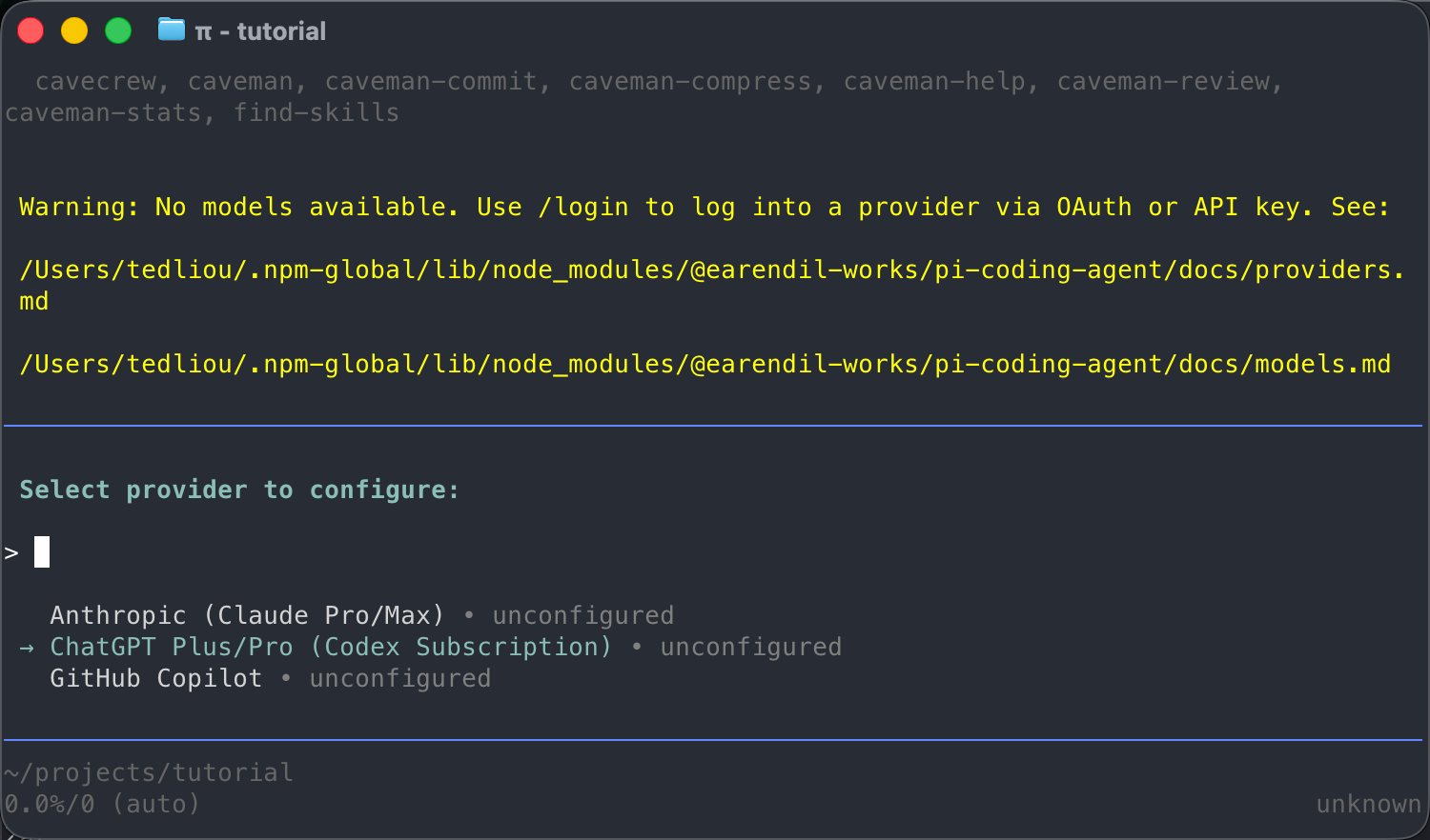 Pi provider 選單選擇 ChatGPT Plus Pro Codex Subscription