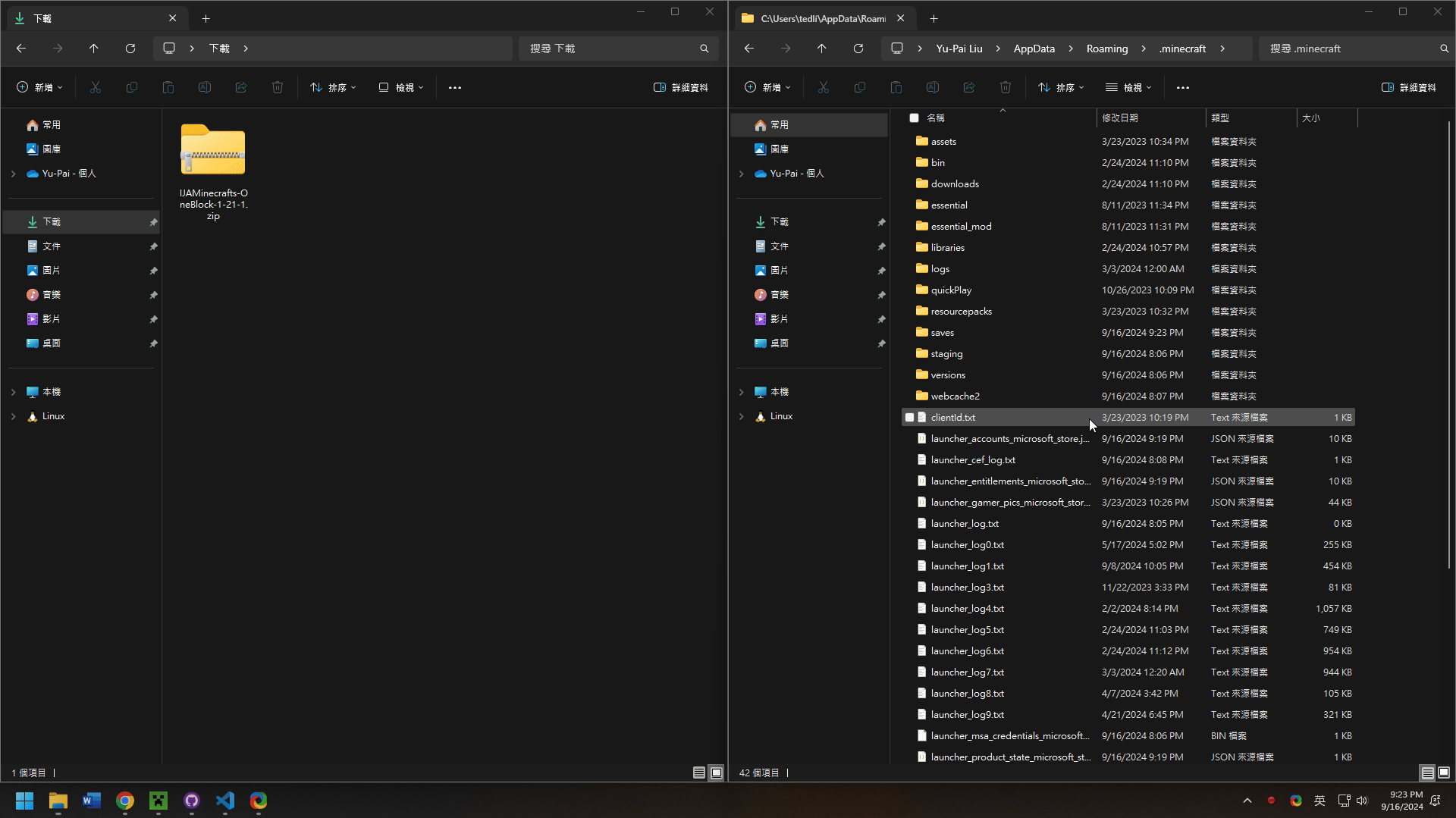 將 OneBlock 解壓後的世界資料夾放進 saves，不要直接放 ZIP 檔