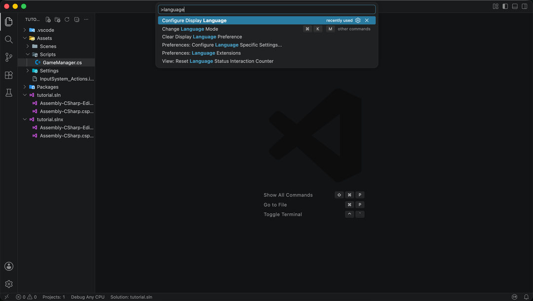 VS Code 命令選擇區中的 Configure Display Language 指令